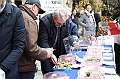 VBS_6989 - Fiera dei Santi - 12.ma Fiera Nazionale del Tartufo